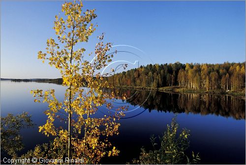 FINLAND - FINLANDIA - Lago Miekoyarvi (Pessalompolo) sulla strada tra Aavasaksa e Rovaniemi