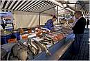 finlandia_0010.jpg