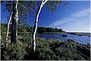 finlandia_0026.jpg