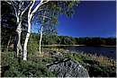 finlandia_0027.jpg