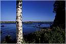 finlandia_0097.jpg