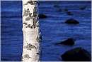 finlandia_0098.jpg
