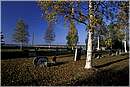 finlandia_0103.jpg