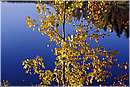 finlandia_0107.jpg