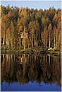 finlandia_0108.jpg