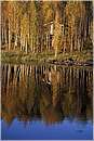 finlandia_0109.jpg