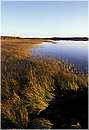 finlandia_0111.jpg