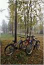 finlandia_0116.jpg