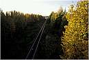 finlandia_0137.jpg