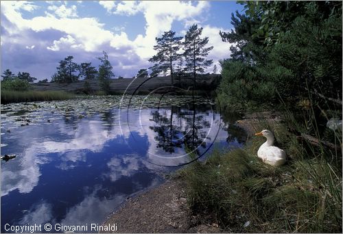 FINLAND - FINLANDIA - ISOLE ALAND - Getabergen