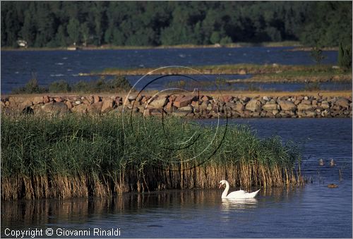 FINLAND - FINLANDIA - ISOLE ALAND - isolette a sud di Mariehamn