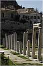 atene_foro_2287.jpg