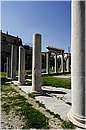 atene_foro_2316.jpg