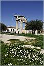 atene_foro_2329.jpg