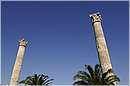 atene_tempiodizeus_2079.jpg