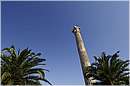 atene_tempiodizeus_2084.jpg