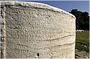 atene_tempiodizeus_2086.jpg