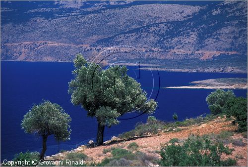 GREECE - CHIOS ISLAND (GRECIA - ISOLA DI CHIOS) - la costa occidentale presso Ormos Elatas