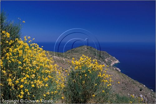 GREECE - CHIOS ISLAND (GRECIA - ISOLA DI CHIOS) - veduta della costa nord dell'isola dalla strada panoramica tra Giosonas e Amades presso la punta Oura