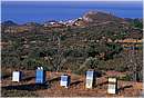 grecia_chios_0015.jpg