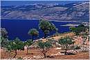 grecia_chios_0023.jpg