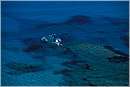 grecia_chios_0040.jpg
