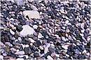 grecia_chios_0052.jpg