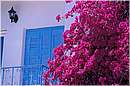 grecia_chios_0061.jpg