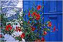grecia_chios_0062.jpg