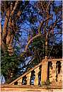 grecia_chios_0124.jpg