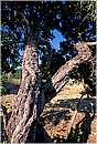 grecia_chios_0182.jpg