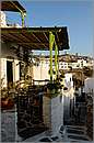 amorgos_11Y_0693mini.jpg