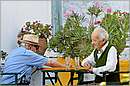 amorgos_11Y_0696mini.jpg