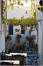 amorgos_11Y_0713mini.jpg