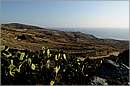 folegandros_11Y_2415mini.jpg