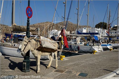 GRECIA - GREECE - Isole Cicladi - Ios -  il porto Ghialos