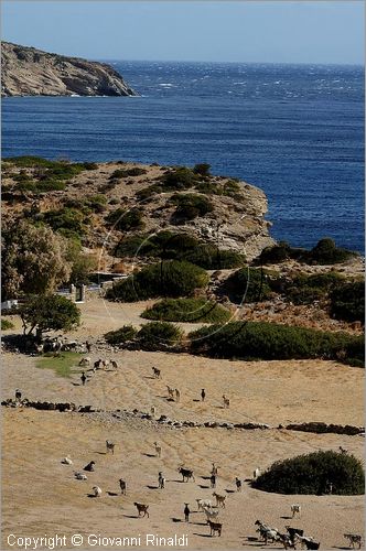 GRECIA - GREECE - Isole Cicladi - Ios - costa est - Plakes beach