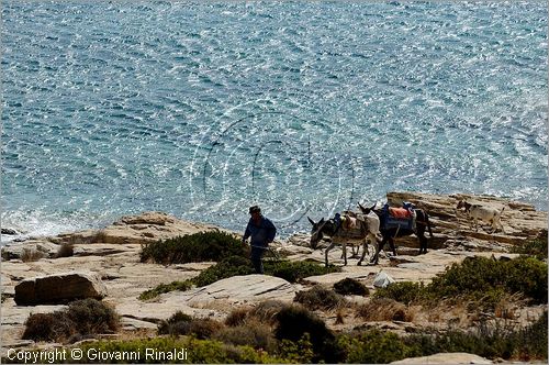 GRECIA - GREECE - Isole Cicladi - Ios - costa est - Plakes beach