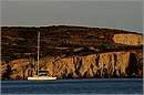 milos_11Y_3406mini.jpg