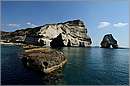milos_11Y_3584mini.jpg