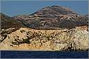 milos_11Y_3681mini.jpg