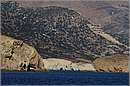 milos_11Y_3736mini.jpg