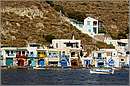 milos_11Y_3956mini.jpg
