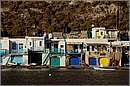 milos_11Y_3961mini.jpg