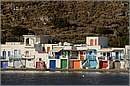milos_11Y_3971mini.jpg