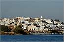 milos_11Y_3978mini.jpg