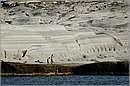 milos_11Y_4090mini.jpg