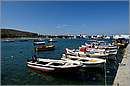 milos_11Y_4257mini.jpg