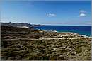 milos_11Y_4264mini.jpg