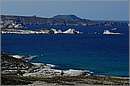 milos_11Y_4286mini.jpg